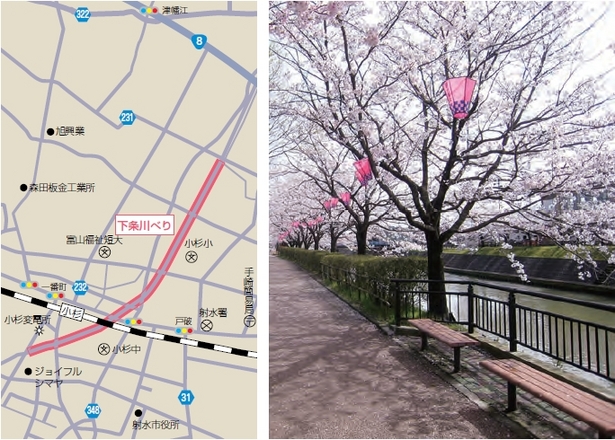 （左）アクセス地図（右）満開の桜並木の様子