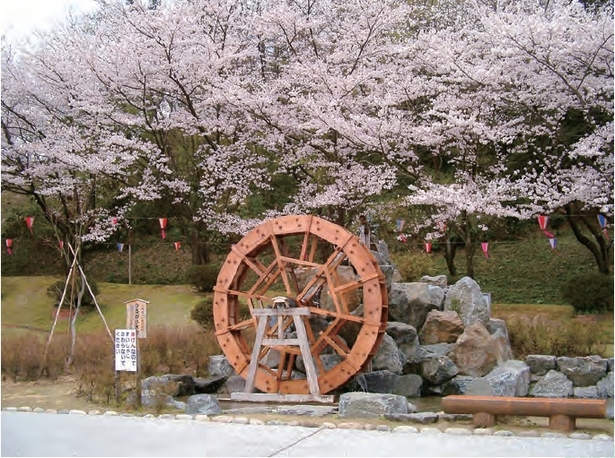 桜と水車の画像
