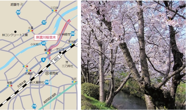 （左）アクセス地図（右）川沿いの桜並木の様子