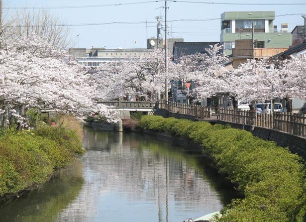 湊川リバーウォークの写真