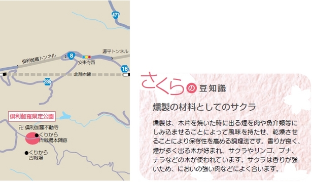 （左）アクセス地図（右）さくらの豆知識「燻製の材料としてのサクラ」