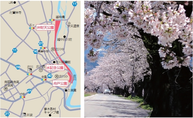 （左）アクセス地図（右）橋と桜並木の様子