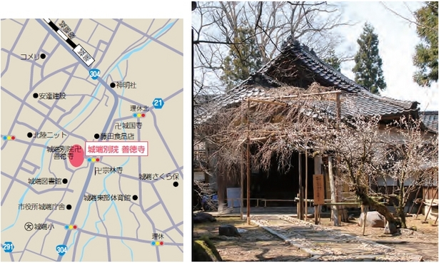 （左）アクセス地図（右）善徳寺と桜の全景写真