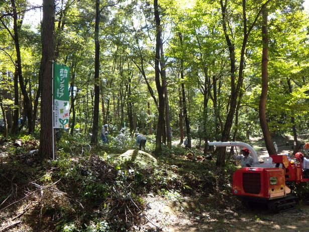 里山林の再生整備活動写真