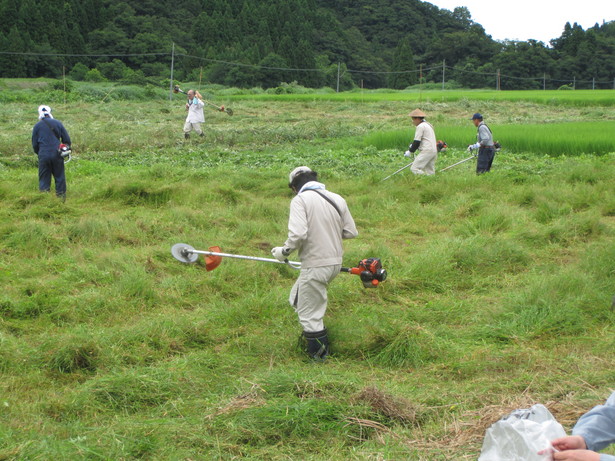 遊休農地の草刈の様子