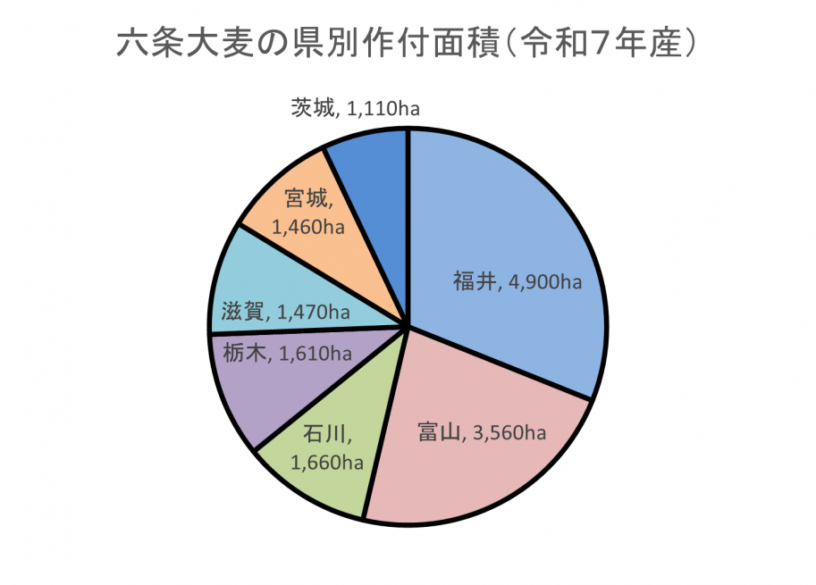 大麦面積R7