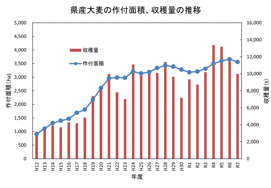 大麦面積推移
