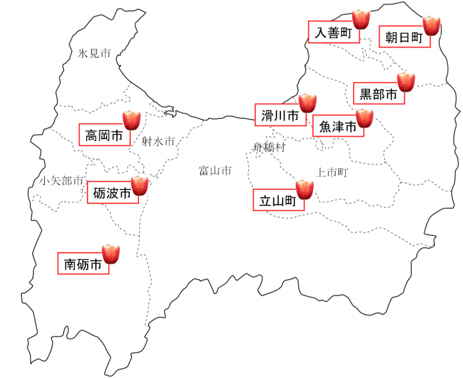 チューリップ産地市町