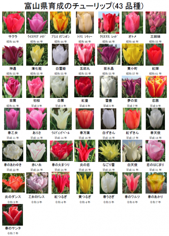 県育成品種一覧43