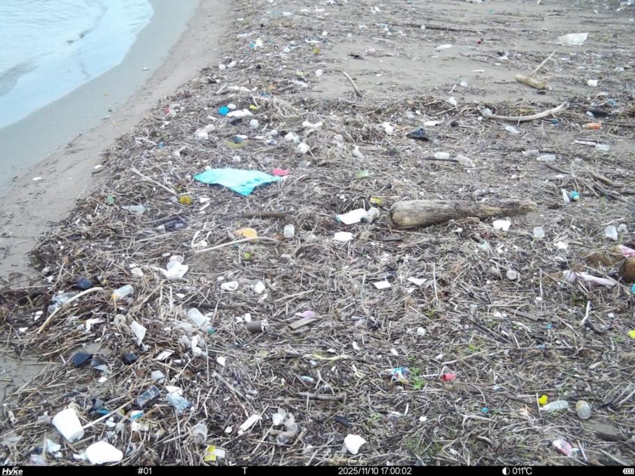 六渡寺海岸11月