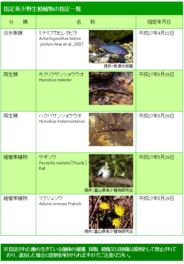 指定希少野生動植物の指定一覧