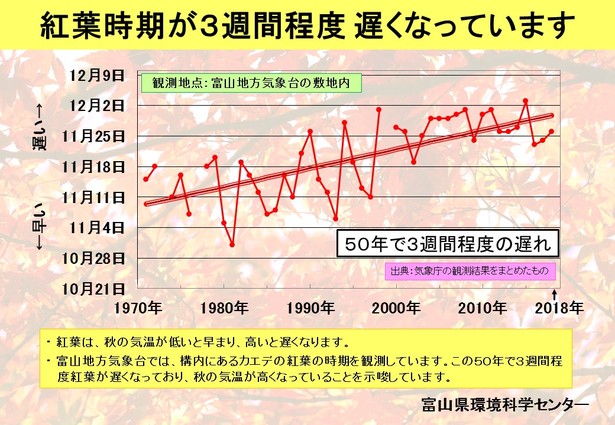 カエデの紅葉時期のグラフ