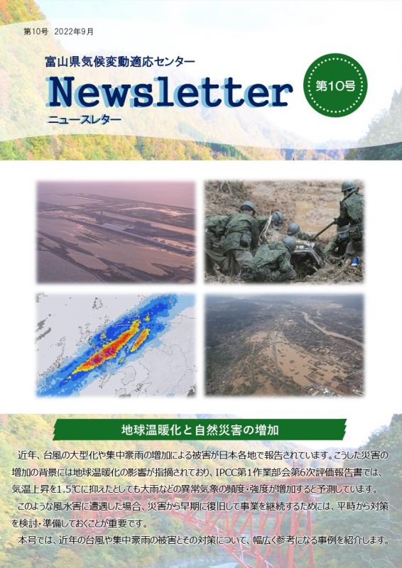 Newsletter_No10