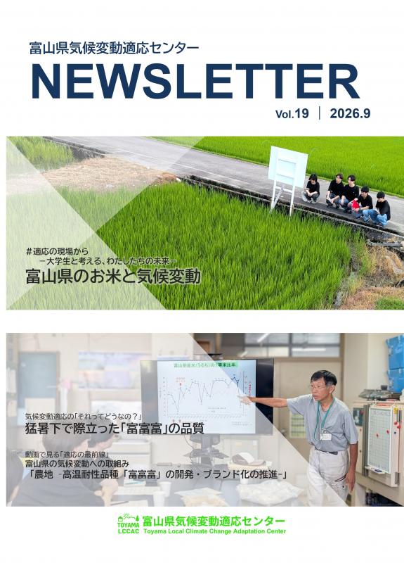 Newsletter_No19