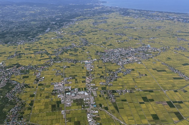 柏浮田道路