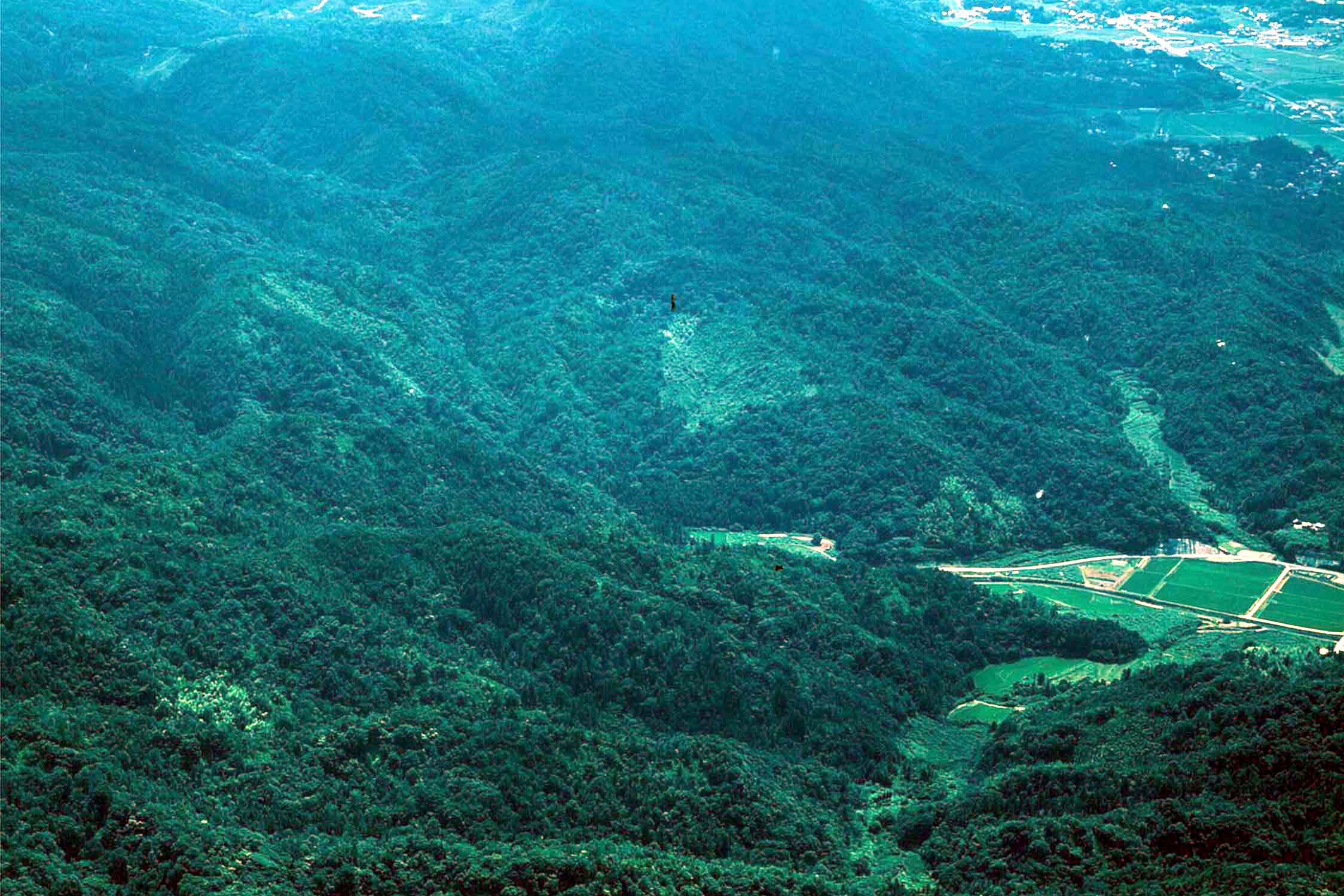 朝山・大田道路