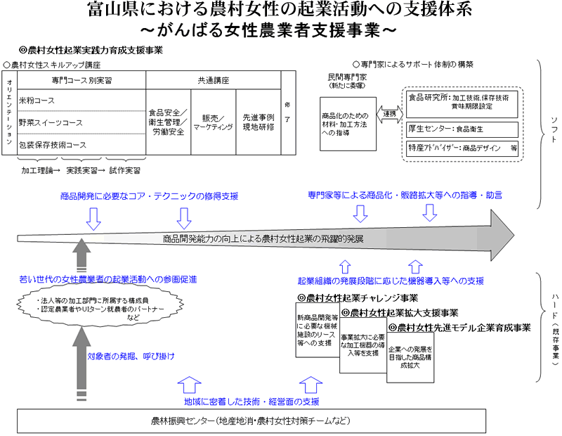 富山県における農村女性の起業活動への支援体系